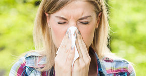 Allergies/Hay-Fever
